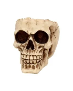Realistische Totenschädel Schale Mit Offener Schädeldecke 10 Realistische Totenschädel Schale Mit Offener Schädeldecke -Halloween Totenköpfe Verkäufe totenschaedel schale mit offener schaedeldecke realistic skull mug morbide gothic deko halloween deko totenschaedel 39289 3