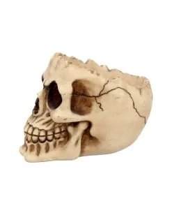 Realistische Totenschädel Schale Mit Offener Schädeldecke 12 Realistische Totenschädel Schale Mit Offener Schädeldecke -Halloween Totenköpfe Verkäufe totenschaedel schale mit offener schaedeldecke realistic skull mug morbide gothic deko halloween deko totenschaedel 39289 4