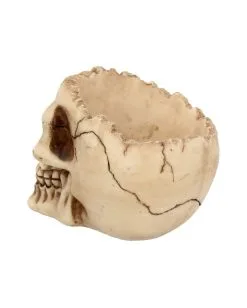 Realistische Totenschädel Schale Mit Offener Schädeldecke 11 Realistische Totenschädel Schale Mit Offener Schädeldecke -Halloween Totenköpfe Verkäufe totenschaedel schale mit offener schaedeldecke realistic skull mug morbide gothic deko halloween deko totenschaedel 39289 5