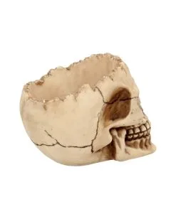 Realistische Totenschädel Schale Mit Offener Schädeldecke 13 Realistische Totenschädel Schale Mit Offener Schädeldecke -Halloween Totenköpfe Verkäufe totenschaedel schale mit offener schaedeldecke realistic skull mug morbide gothic deko halloween deko totenschaedel 39289 6