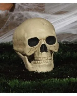 Wetterfester Totenschädel Mit Beweglichem Kiefer 20cm -Halloween Totenköpfe Verkäufe wetterfester totenkopf mit beweglichem kiefer weatherproof skull with moveable jaw halloween totenschaedel 53405 04